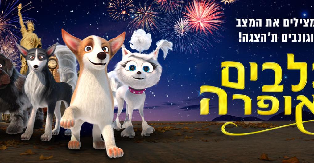 ר